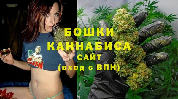 гидропоника Белокуриха