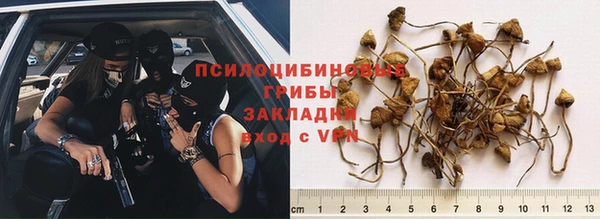 мескалин Армянск