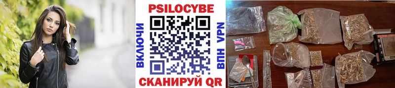 Галлюциногенные грибы Psilocybe  Вихоревка 