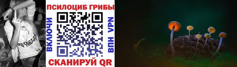 Псилоцибиновые грибы Magic Shrooms Вихоревка